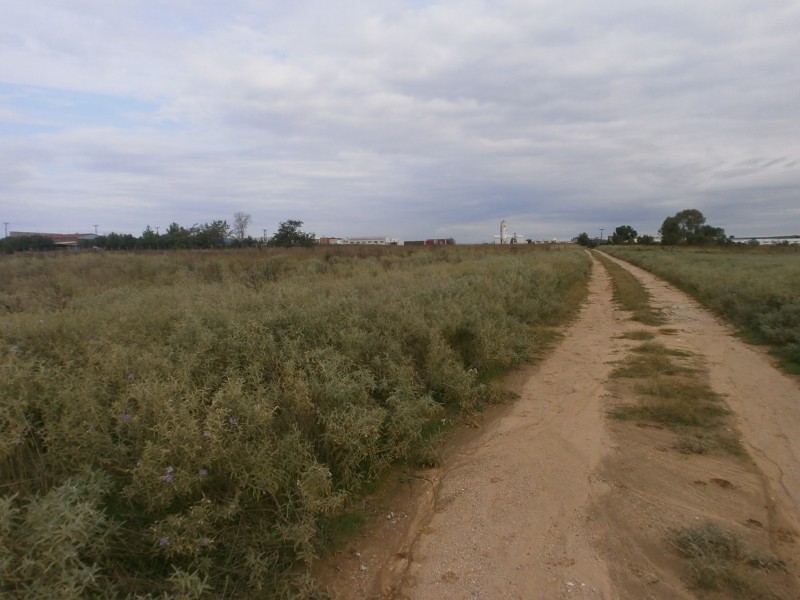 Land plot, Lakoma settlement, Chalkidiki
