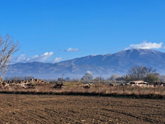 Αγροτεμάχιο, Σέρρες