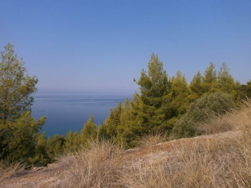 Land plot, Pallini, Chalkidiki