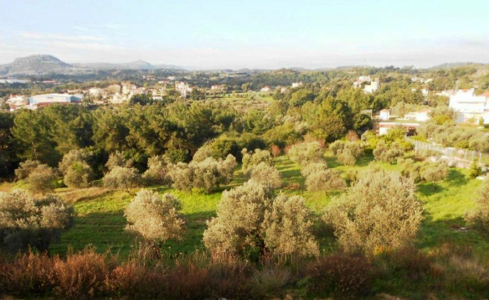 Land plot, Rhodes