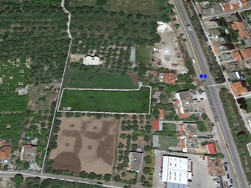 Land plot, Zacharo, Ileia