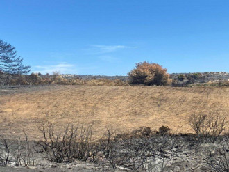 Αγροτεμάχιο, Μαραθώνας