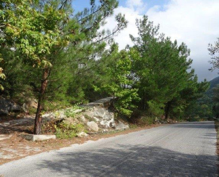 Land plot, Thasos