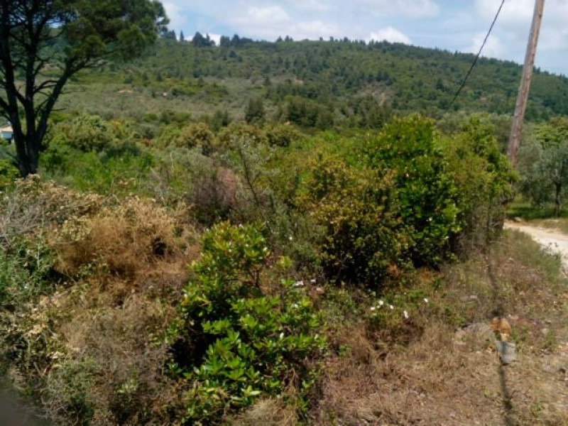 Land plot, South Pilio
