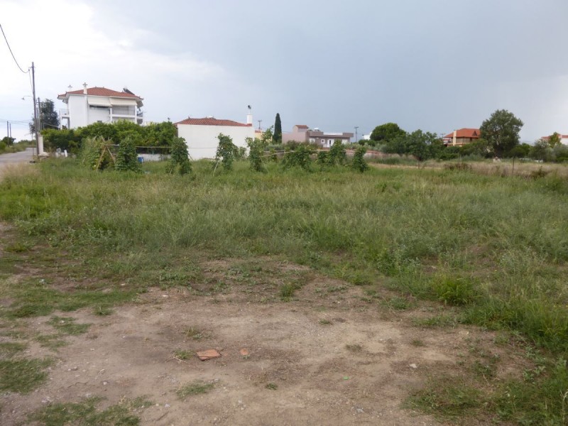 Land plot, Agios Nikolaos, Chalkida