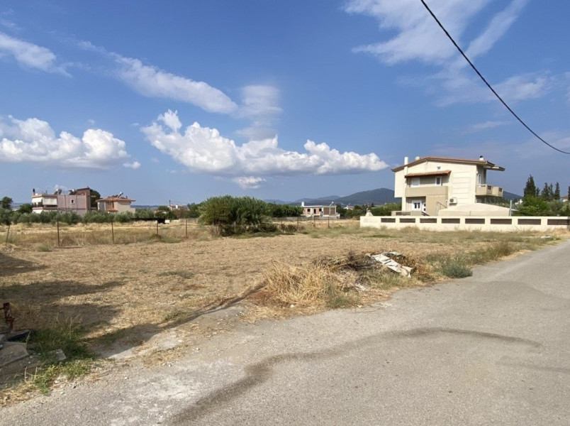 Land plot, Agios Nikolaos, Chalkida