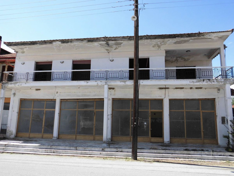 Mixed-use building, Aridea, Pella