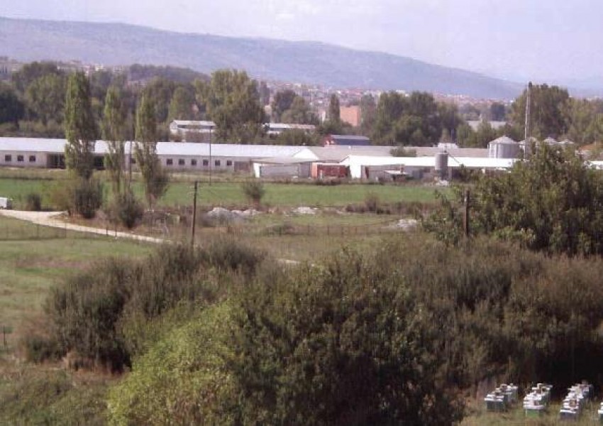 Land plot, Ioannina