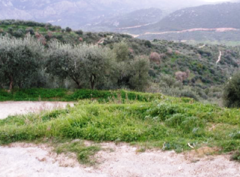 Land plot, Malia, Heraklion