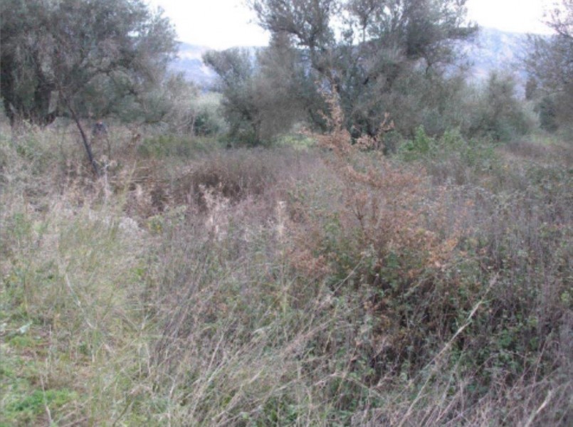 Land plot, Hersonissos