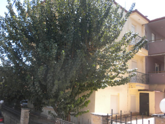 Μεζονέτα, Μελισσοχώρι, Θεσσαλονίκη