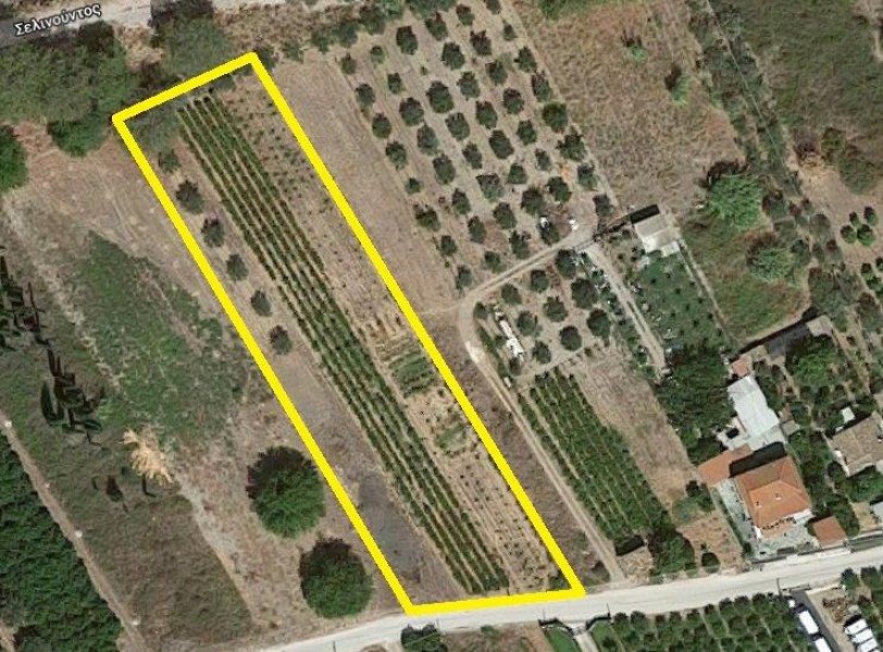 Land plot, Aigio