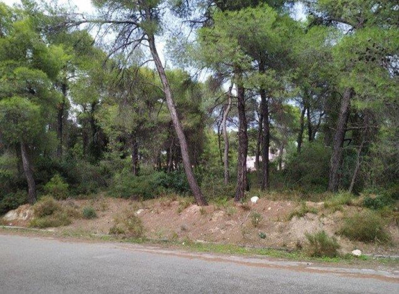 Plot, Theologos, Fthiotida