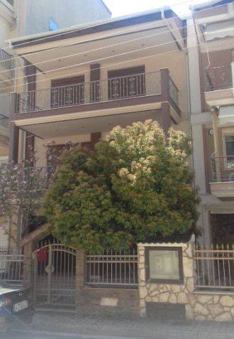 Μεζονέτα, Πτολεμαΐδα