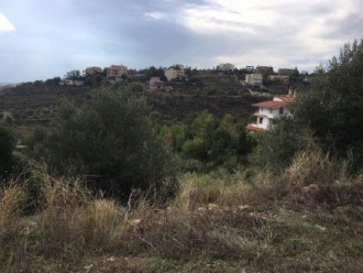 Οικόπεδο, Ντράφι, Πικέρμι