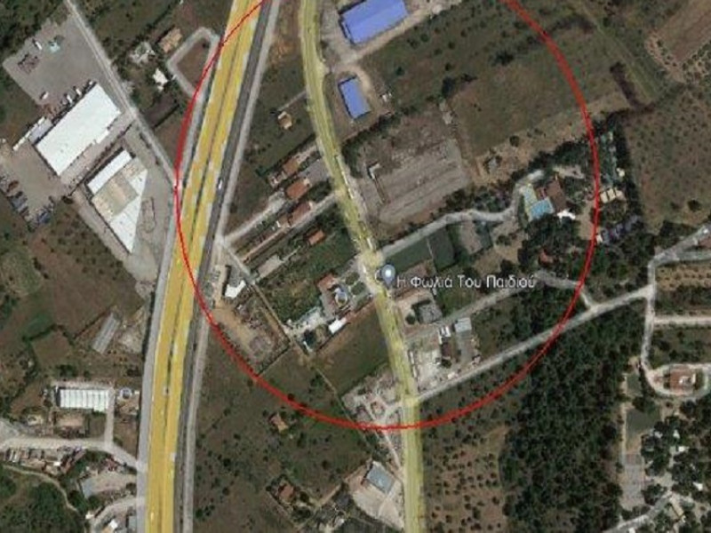 Land plot, Polydendri