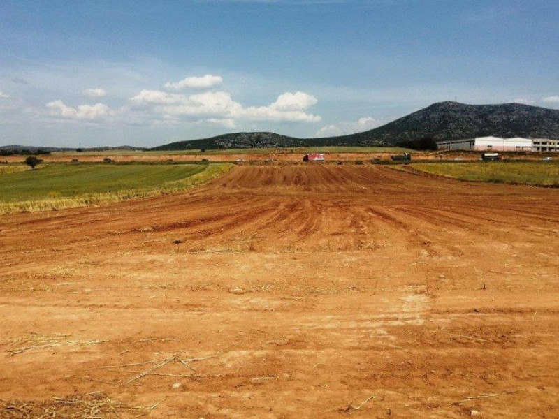 Land plot, Nea Santa, Kilkis