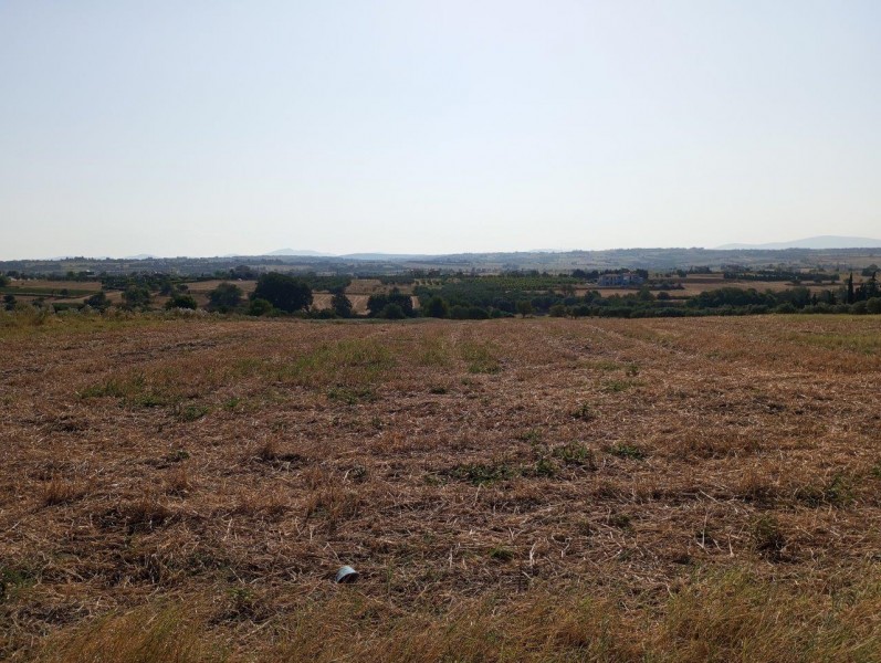 Land plot, Trilofos