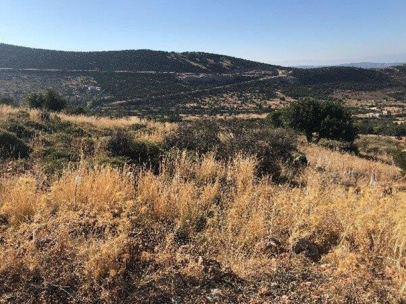 5 adjacent plots, Kranidi