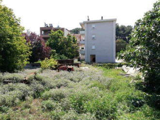 Οικόπεδο, Θεσσαλονίκη