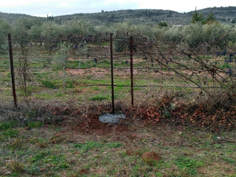 Land plot, Korinthos