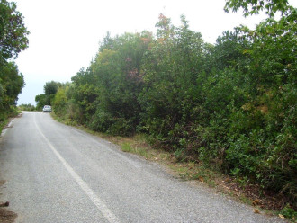 Ποσοστό αγροτεμαχίου, Μαγνησία