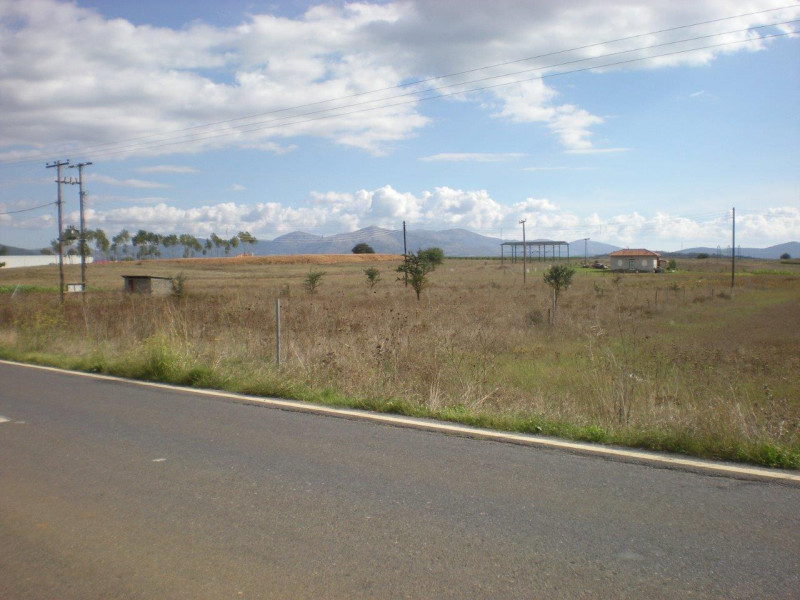 Land plot, Arkadia