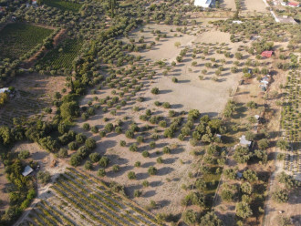 Αγροτεμάχιο, Αρκαδία