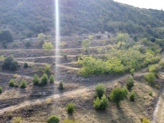 Αγροτεμάχιο, Πλαγιές Βέροιας, Ημαθία