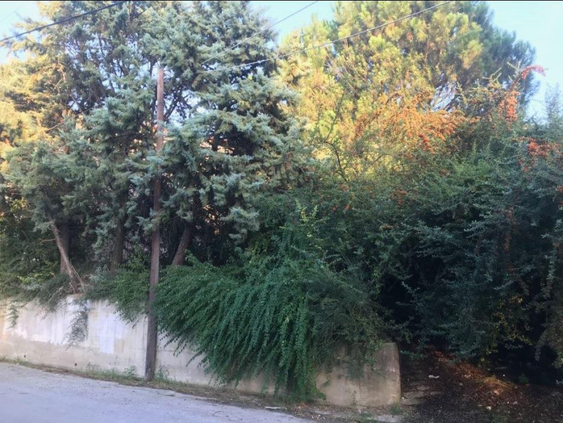 Plot, Souroti, Thermi