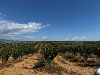 Αγροτεμάχιο, Χαλκιδική