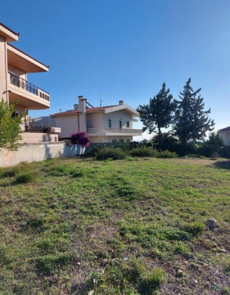 Οικόπεδο, Καλλιτεχνούπολη 