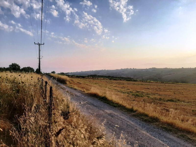 Plot of land, Nea Kerasia