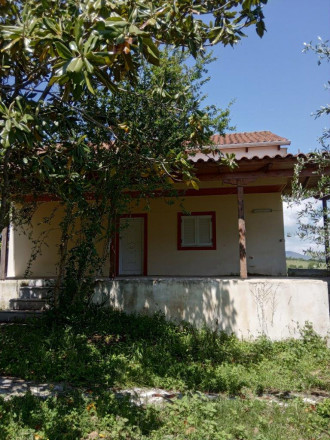 Μονοκατοικία με ελαιόδεντρα, Πρέβεζα