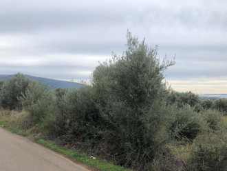 Αγροτεμάχιο, Ερέτρια