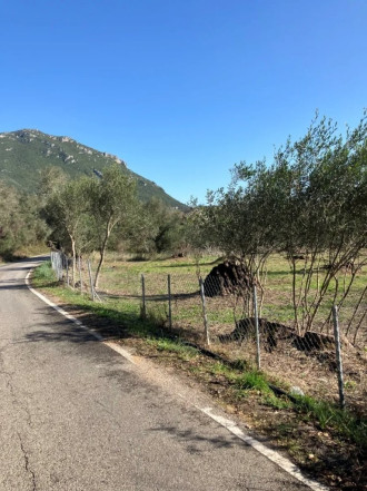 Οικόπεδο, Κέρκυρα