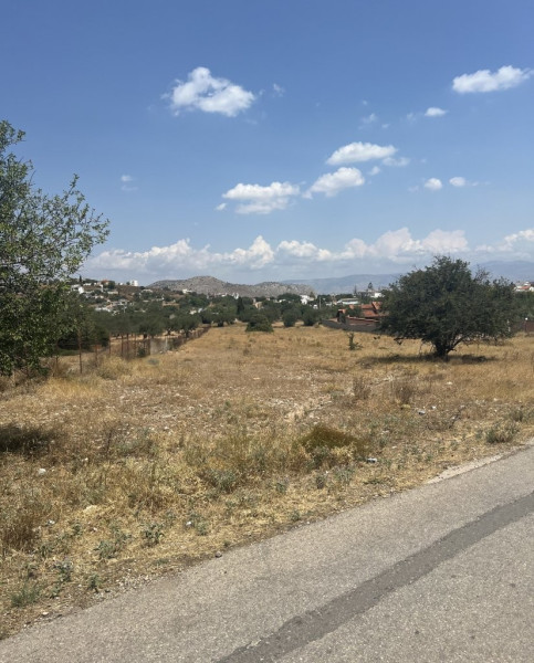 Land plot, Salamina