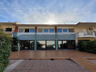 Κατάστημα, Πολύγυρος