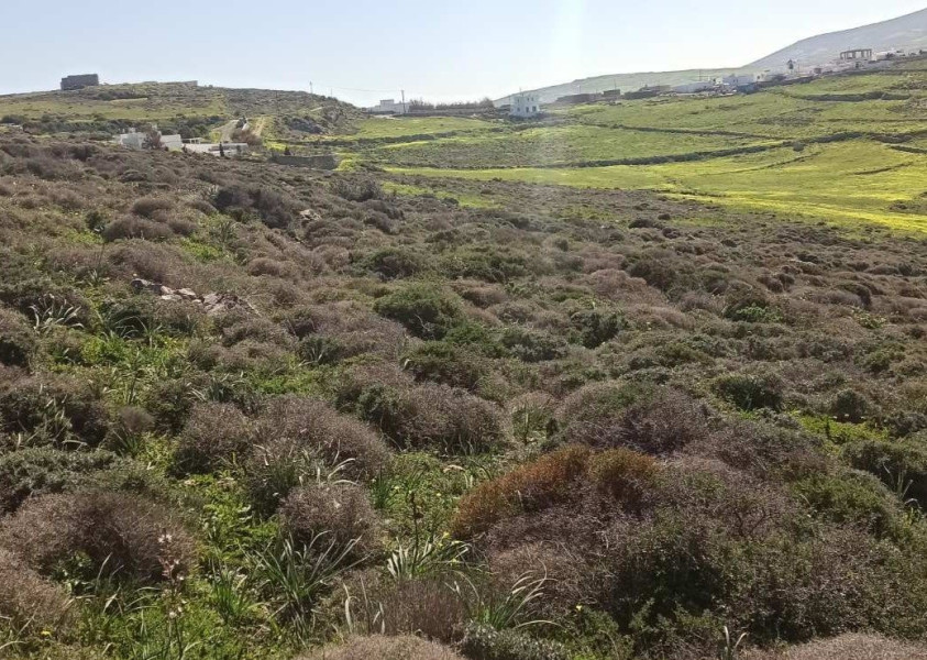 Land plot, Marpissa, Paros