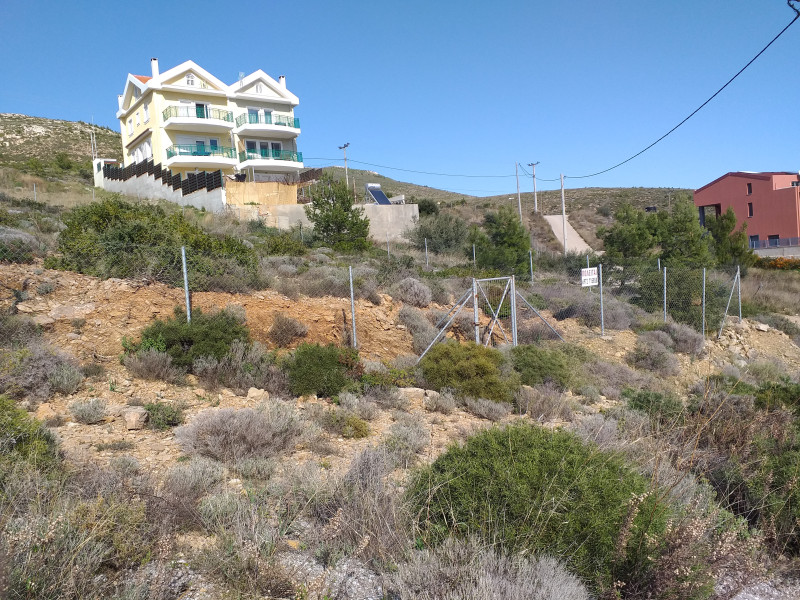 Plot of land, Pikermi