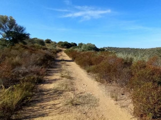 Αγροτεμάχιο, Αμμουλιανή