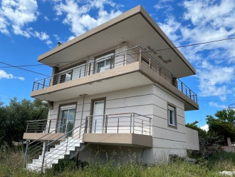 Μεζονέτα, Δύμη