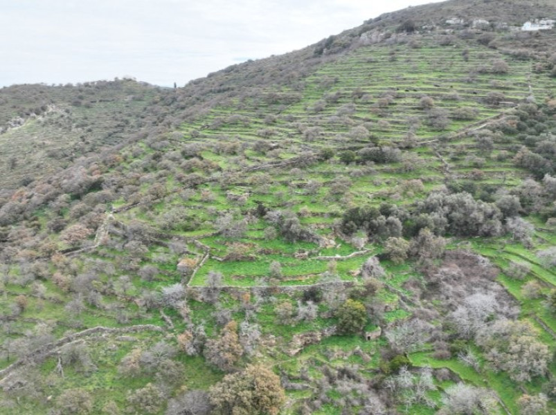 Plot of land, Ioulida