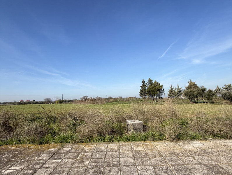 Agricultural plot, Thermi, Thessaloniki
