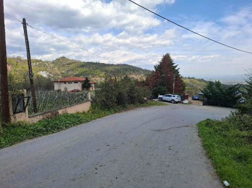 Winery, Naoussa