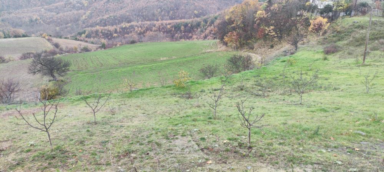 Plot of land, Mesaia Milia, Pieria