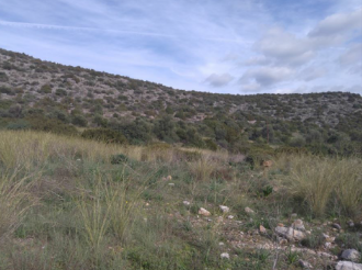 Αγροτεμάχιο, Κρανίδι